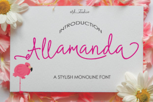 Allamanda: A Handwritten Font for Modern Brand Content