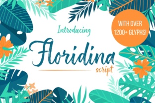 Floridina: The Brush Font That Elevates Digital Campaigns