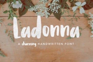 Ladonna: A Playful Script Font That Gives Your Small Business Personality