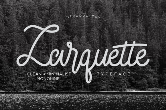Larquette: A Monoline Font That Brings Organic Elegance to Campaign Visuals