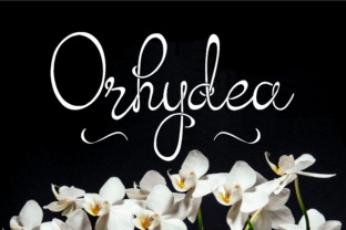 Orhydea Font: A Handcrafted Script for Small Business Branding