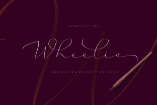 Wheelie Script Font: A Marketer’s Secret for Campaigns That Stop the Scroll